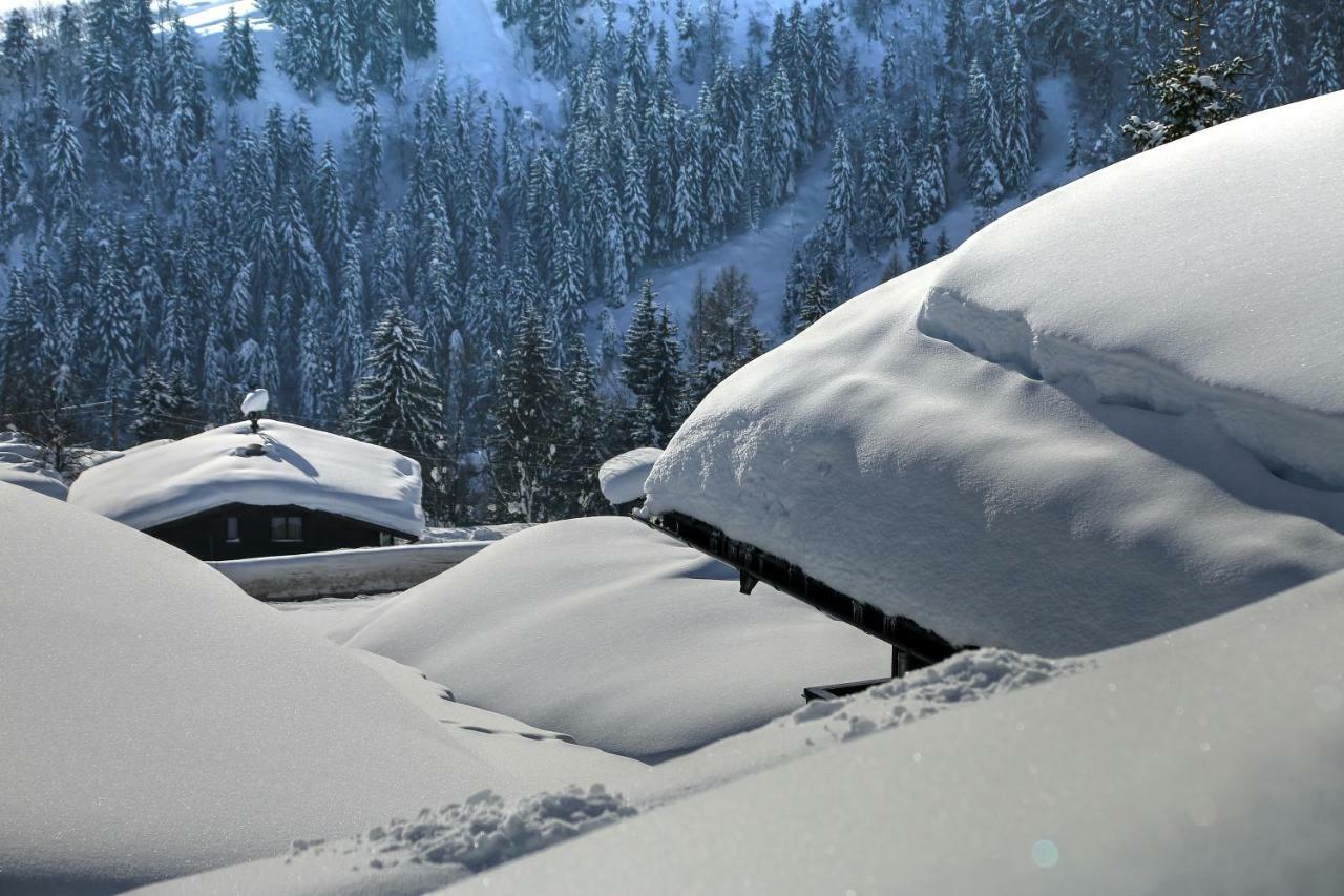 Studio "Children Of Powdersnow" Mühlbach am Hochkönig Extérieur photo